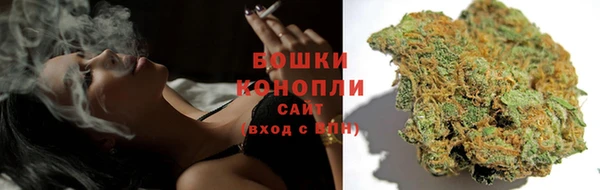 трава Абаза