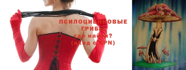 эйфоретик Сатка