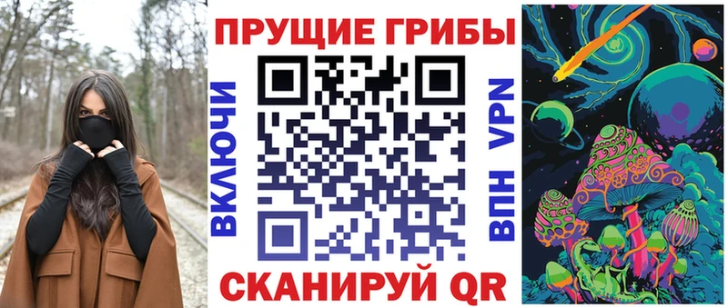 хочу наркоту  Ивангород  Галлюциногенные грибы Psilocybe 