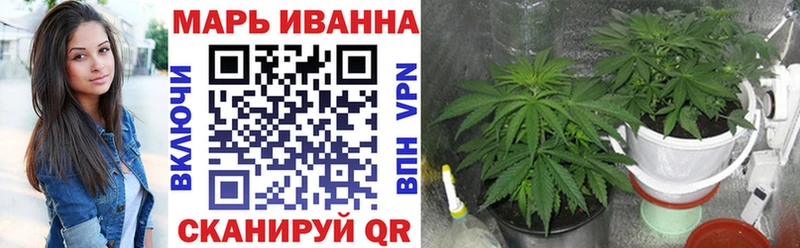 Бошки марихуана Amnesia  Ивангород 